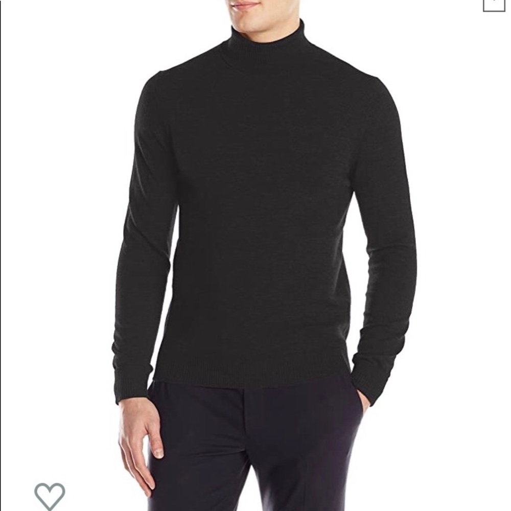 Vince Camuto Merino Wool Turtleneck